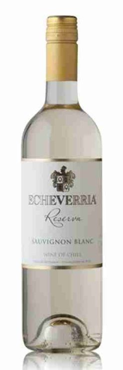 Sauvignon Blanc, Reserva Curico Valley, Viña Echeverría, white wine