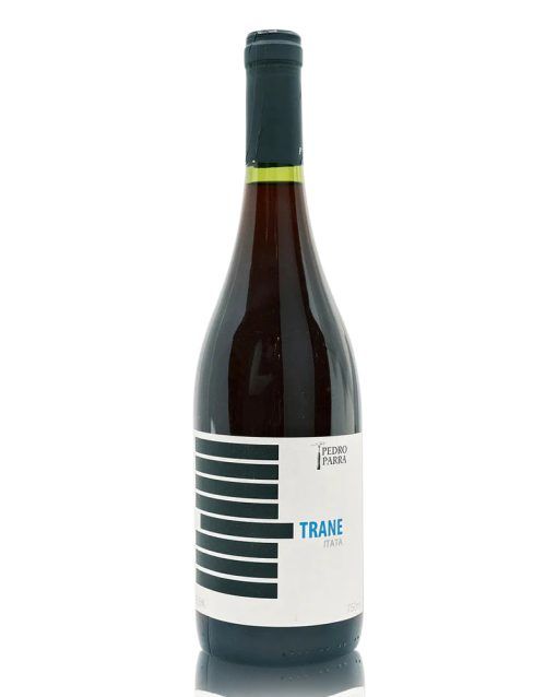 cinsault-trane-itata-valley-pedro-parra-shelved-wine