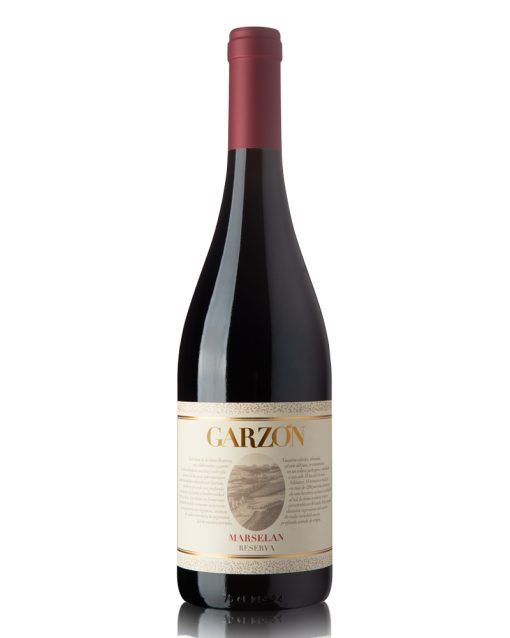 marselan-bodega-garzon-reserva-shelved-wine