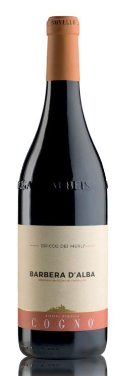 barbera-d-alba-bricco-dei-merli-elvio-cogno-shelved-wine