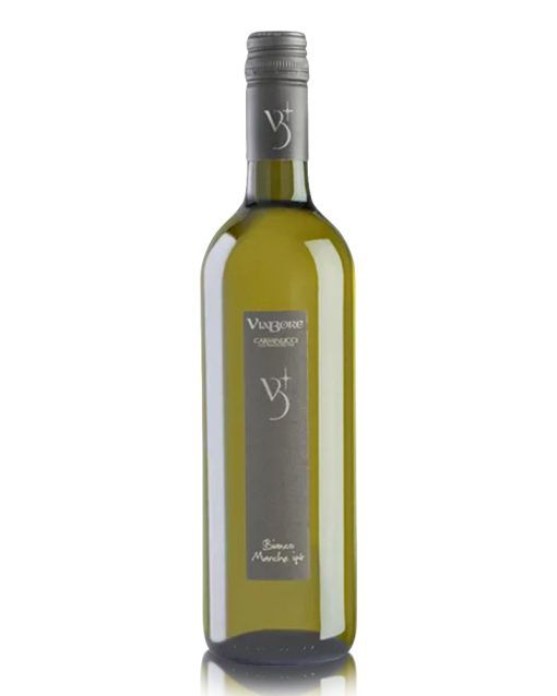 viabore-bianco-carminucci-shelved-wine