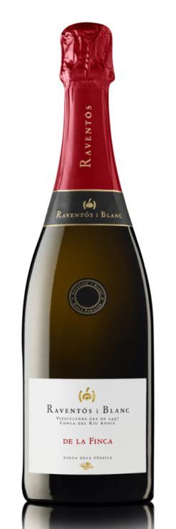 de-la-finca-raventos-i-blanc-shelved-wine